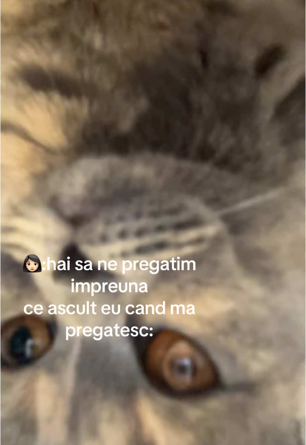 @gabs