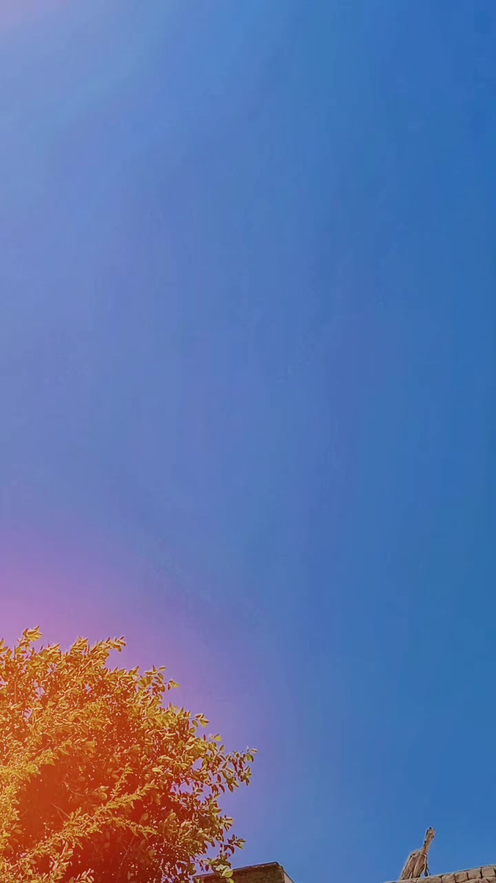 @بلال اعوان
