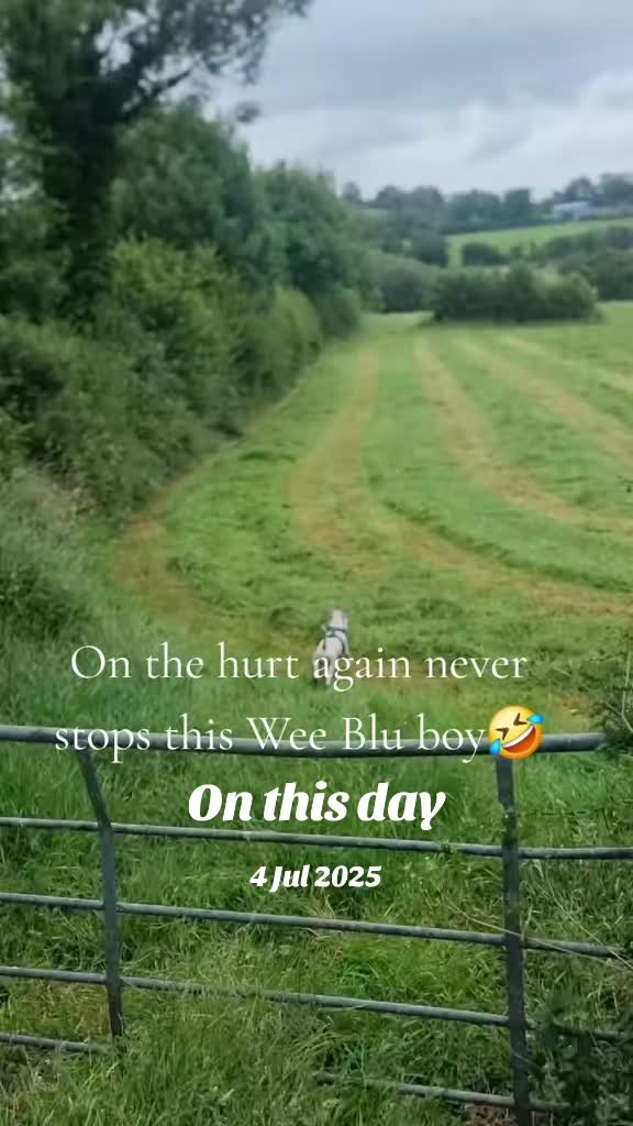 @Seamie 11 11