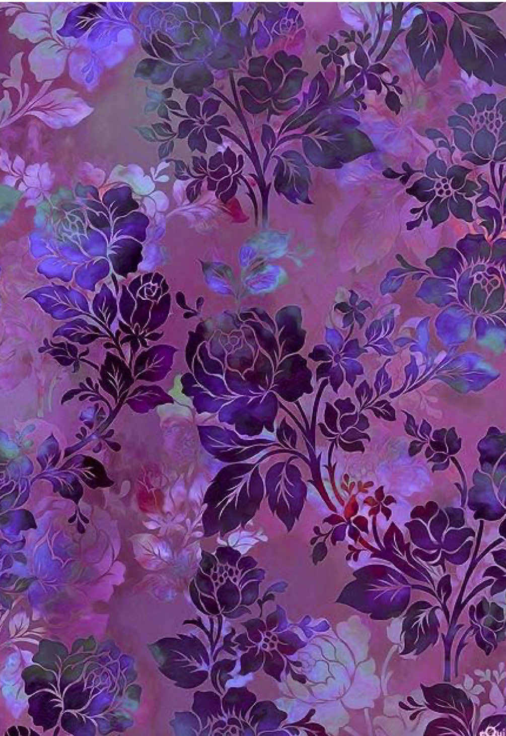 @☆ɑׁׅ֮ꩇׁׅ݊ɑׁׅ֮ᨮׁׅɑׁׅ֮