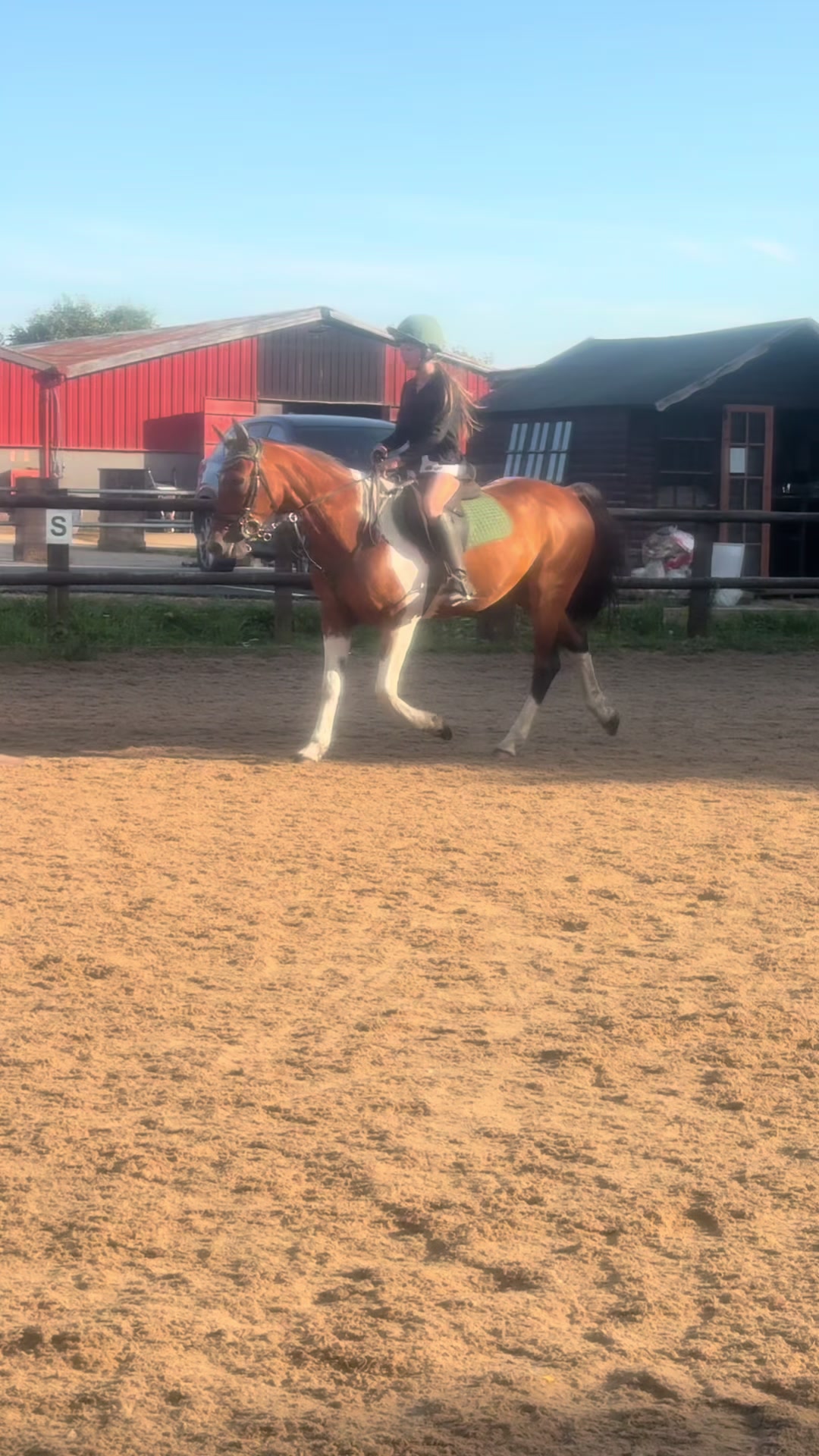 @poppy 🌾🐴 🇬🇧