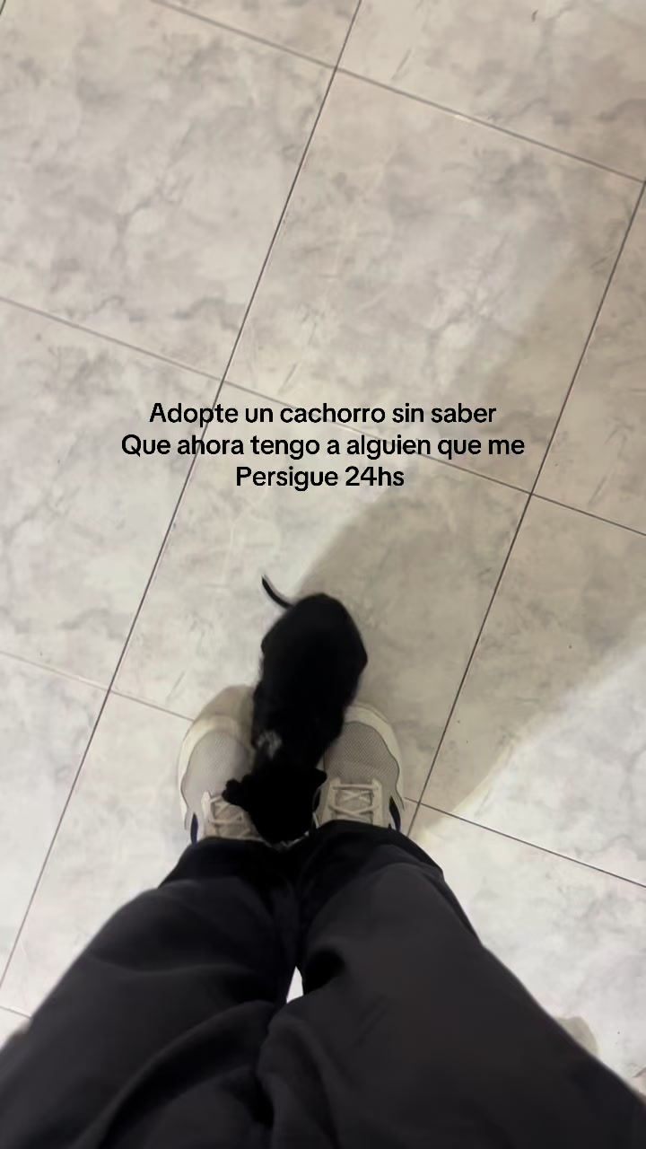 @Francisco Jesús 🪽