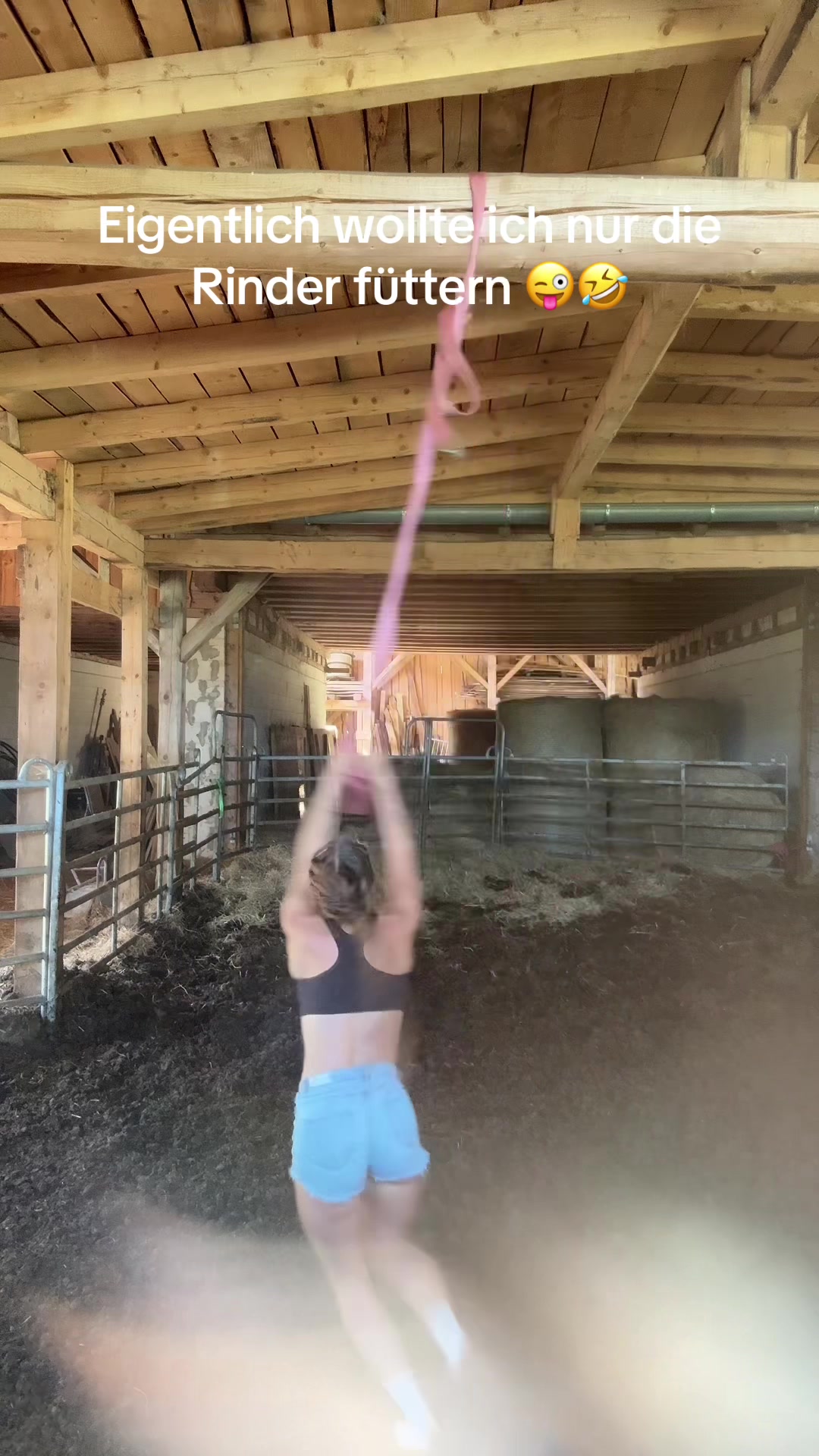 @HafiHorse2