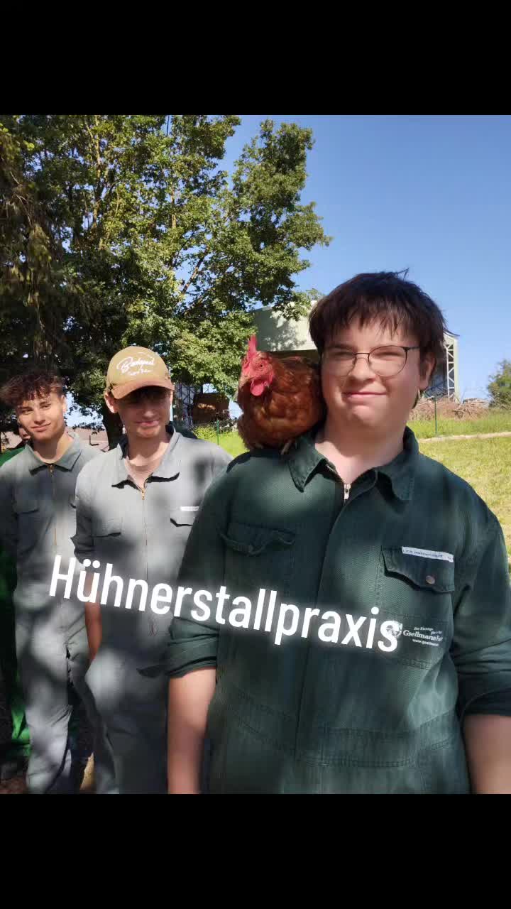 @LFS Hatzendorf
