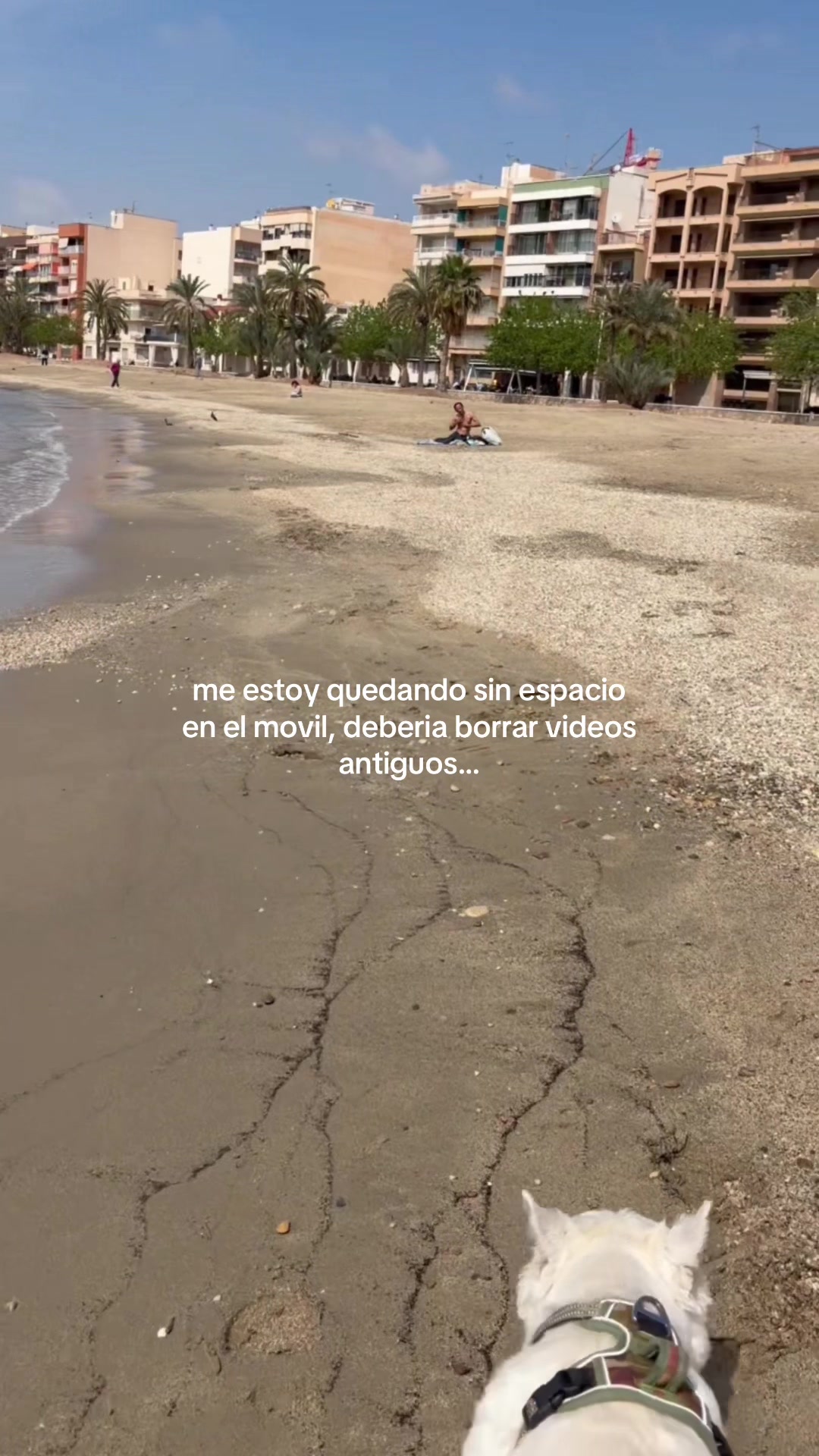 @𝐚𝐫𝐢𝐢