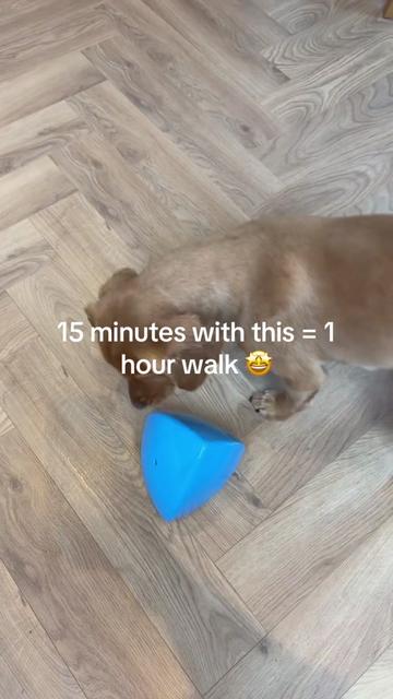 @Claws & Paws Parcels