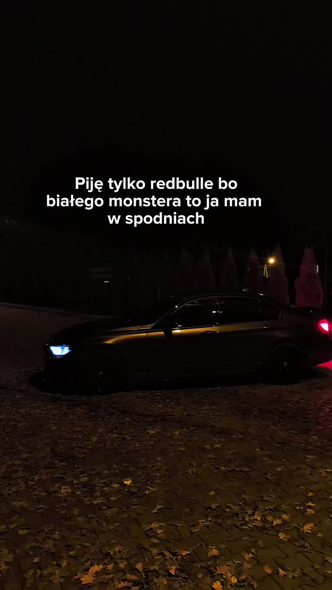 @ig📷:jakvb04