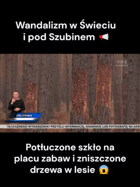 @TVP3 BYDGOSZCZ