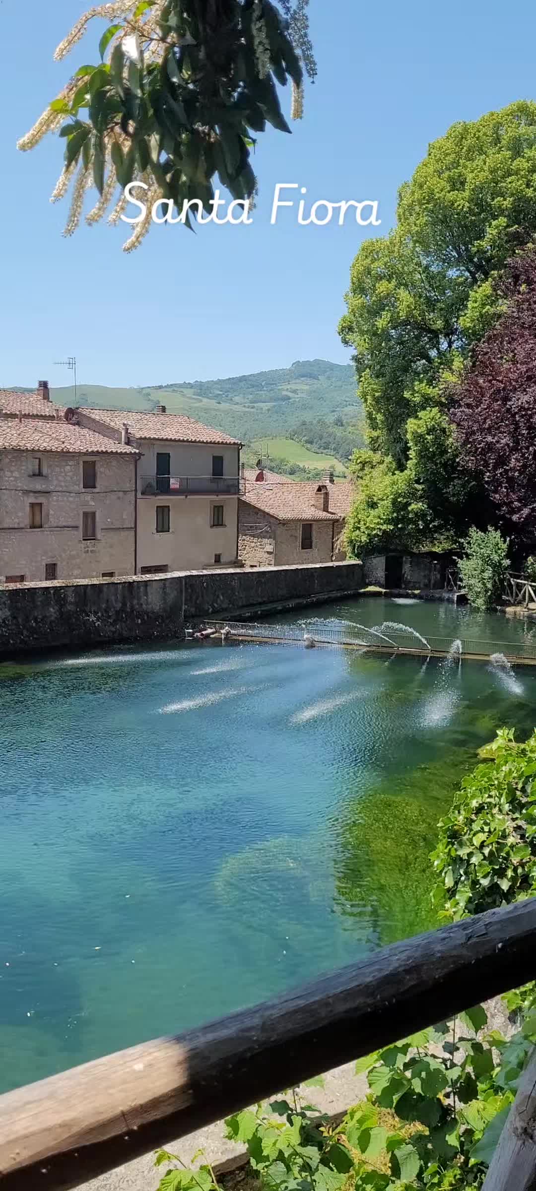 @Elisa Tosi