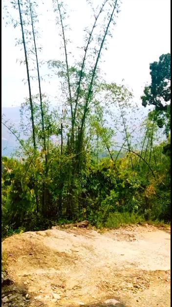 @Samjhana adhikari 