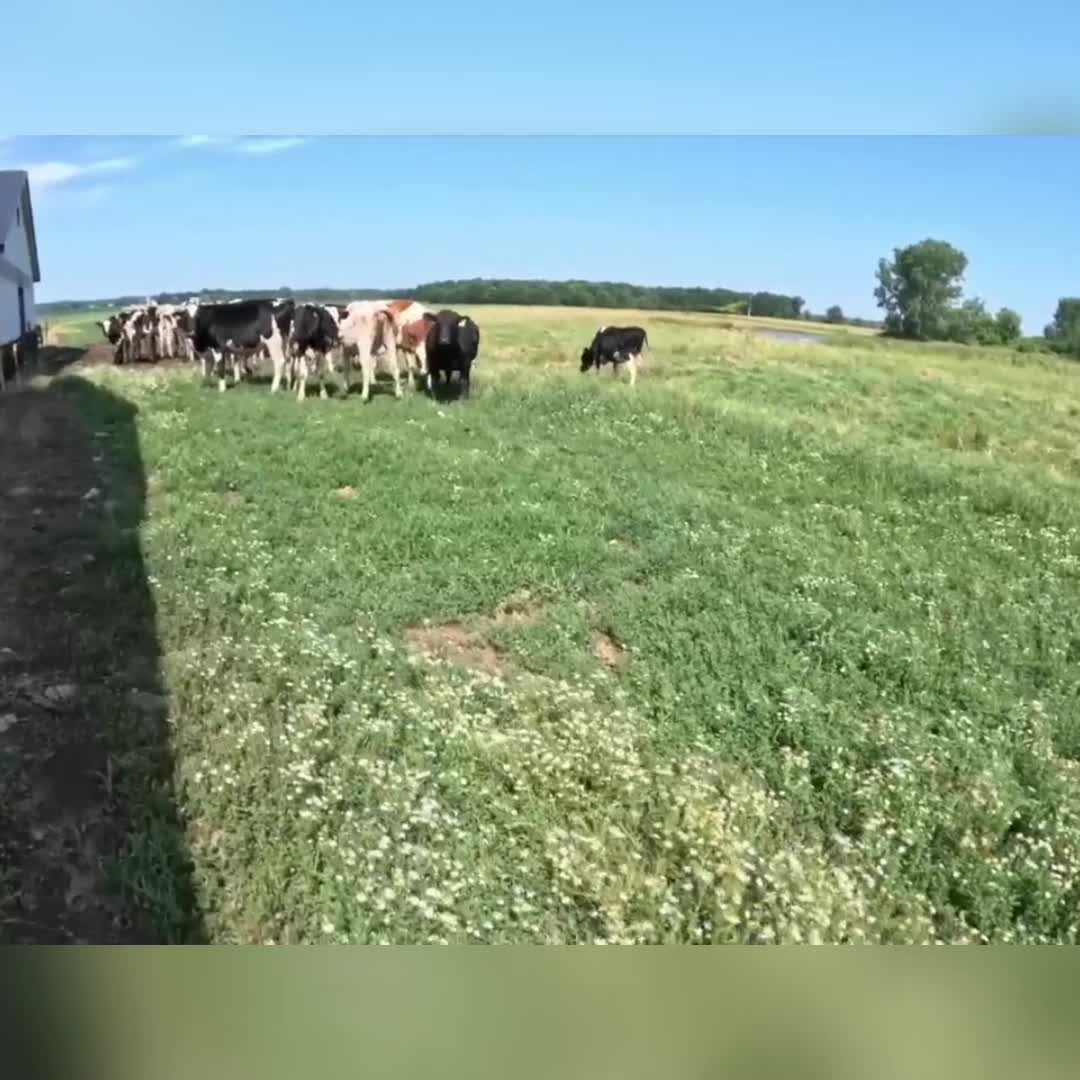 @Kip Siegler Farming