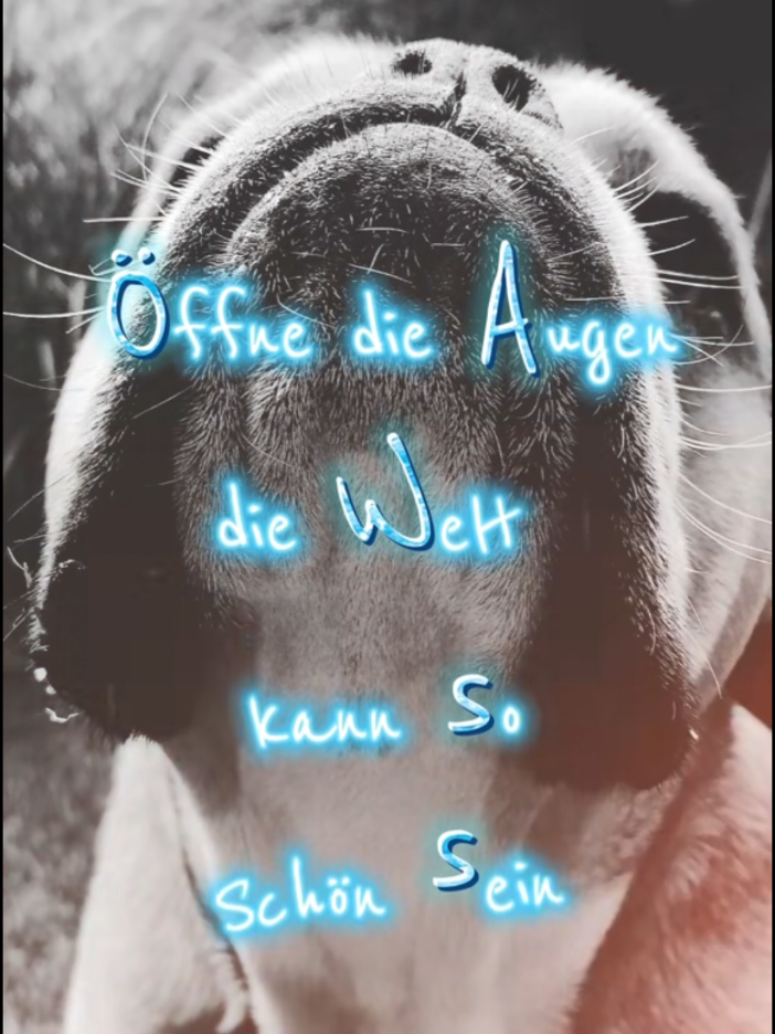 @Otto und Erwin