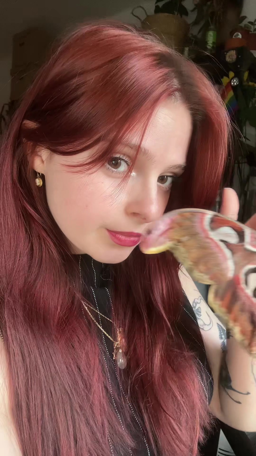 @Am🪲🎀