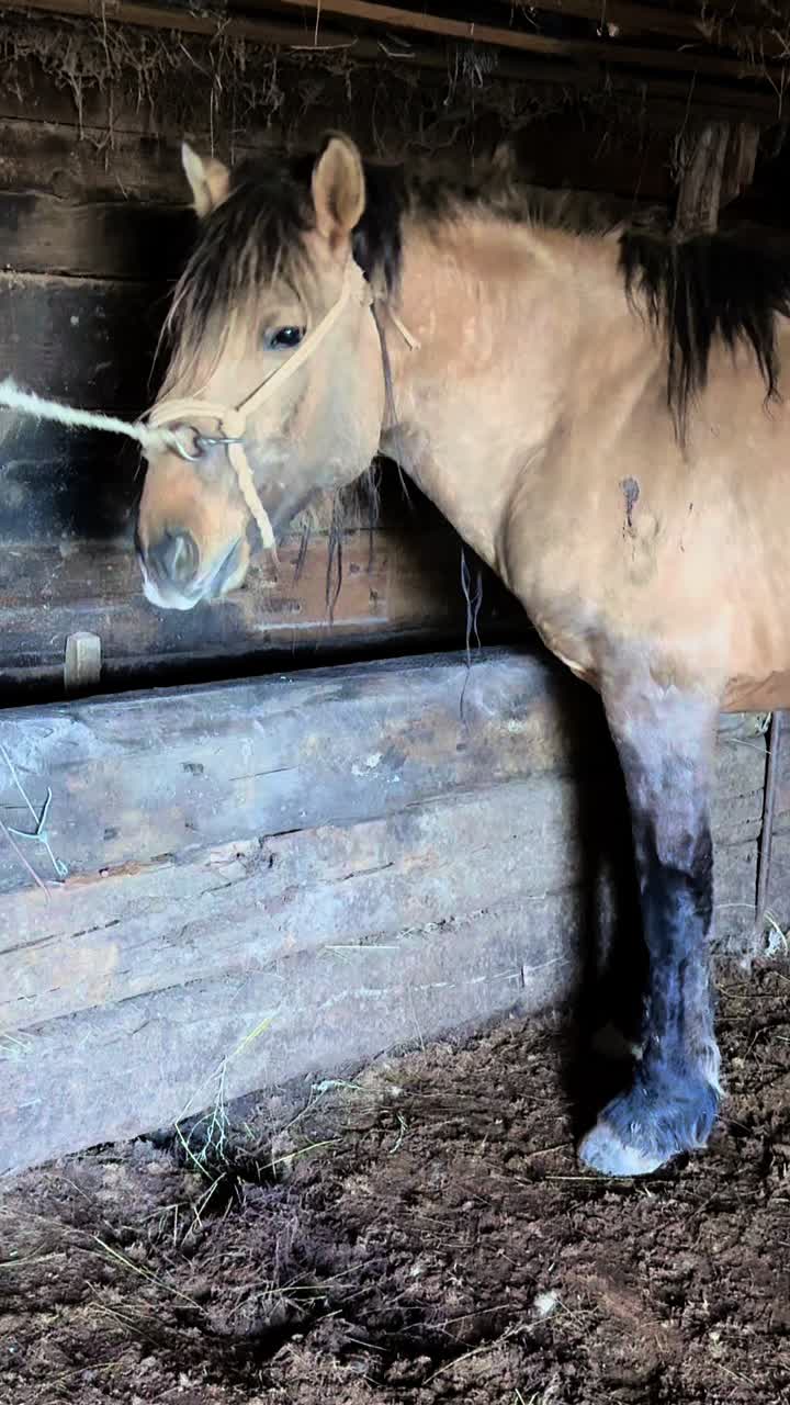 @Аза