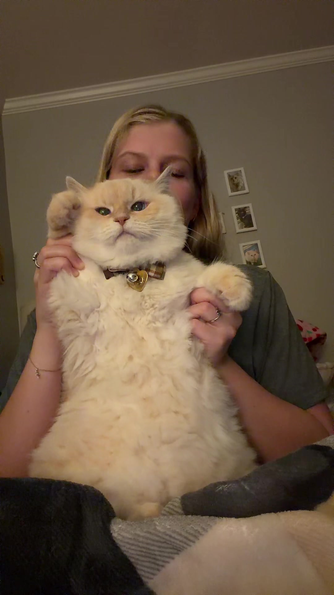 @jaredthecrosseyedcat