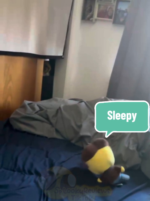 @LookyReviewsTikTok