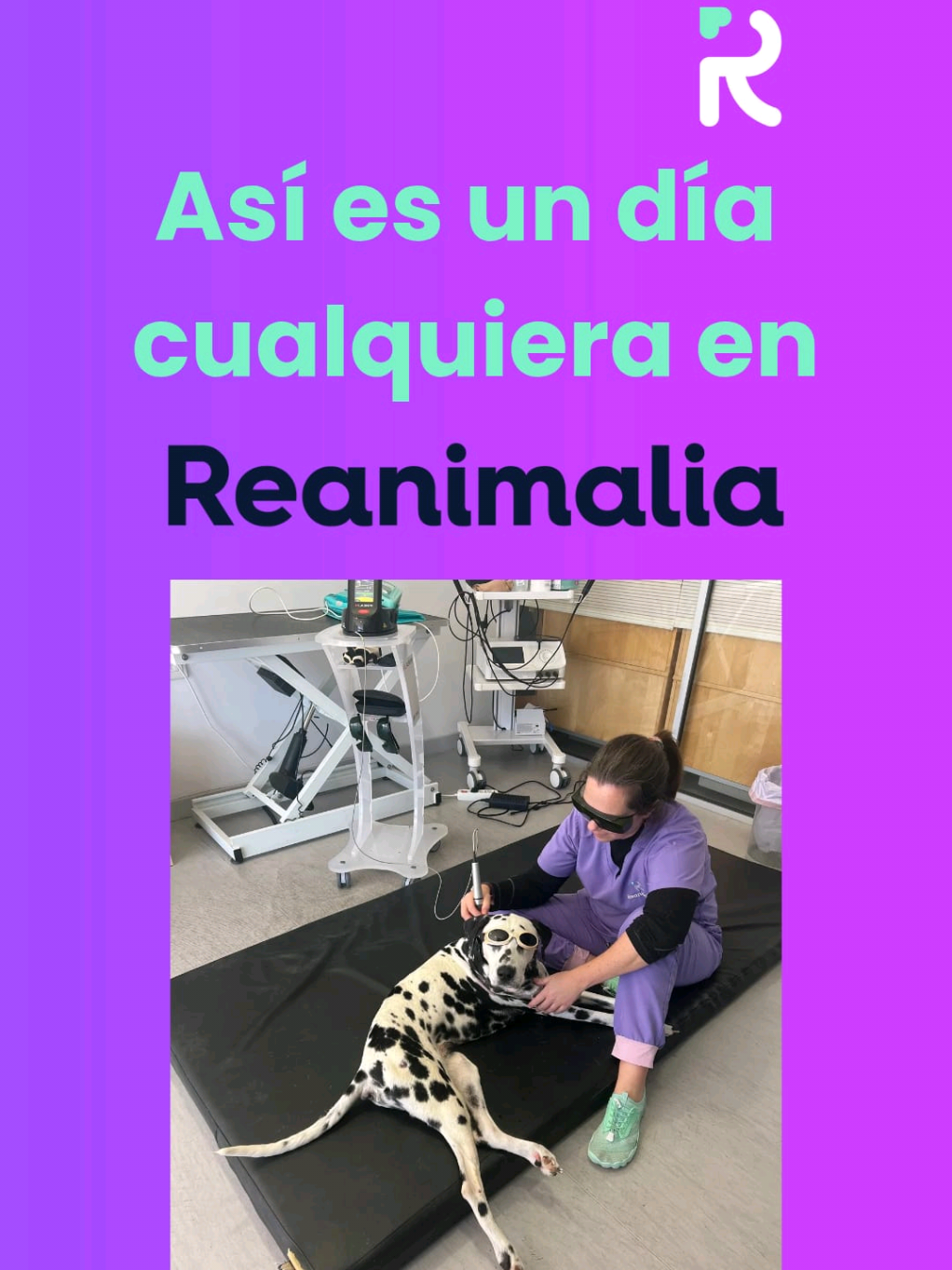 @Reanimalia