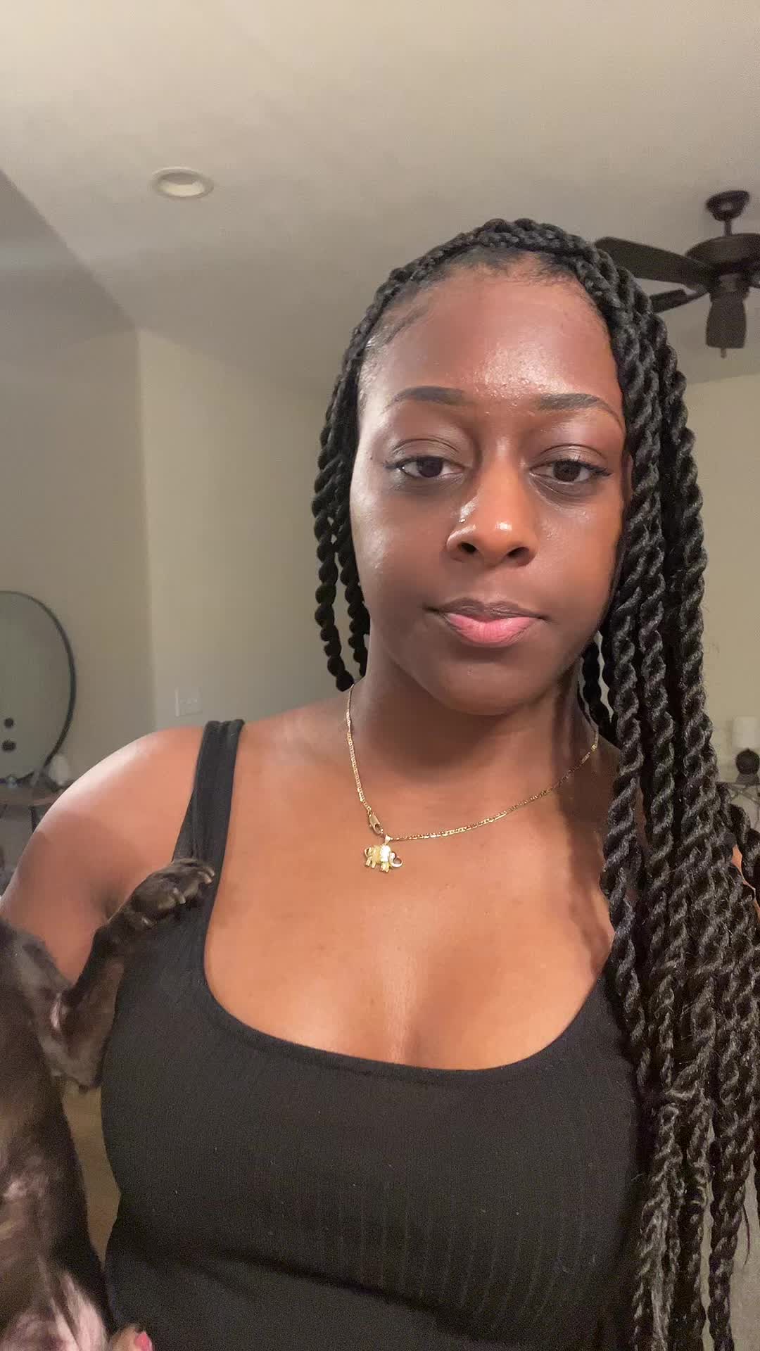 @Blackjack_Chihuahua