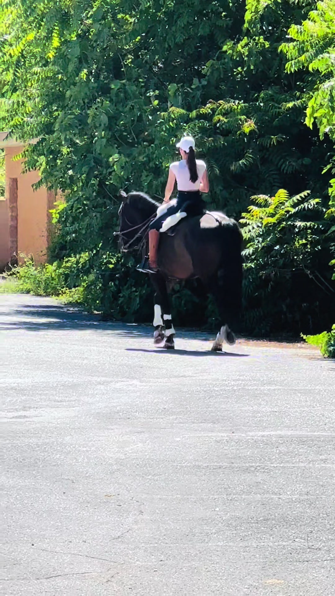 @Sandra Molina🐎🇪🇸