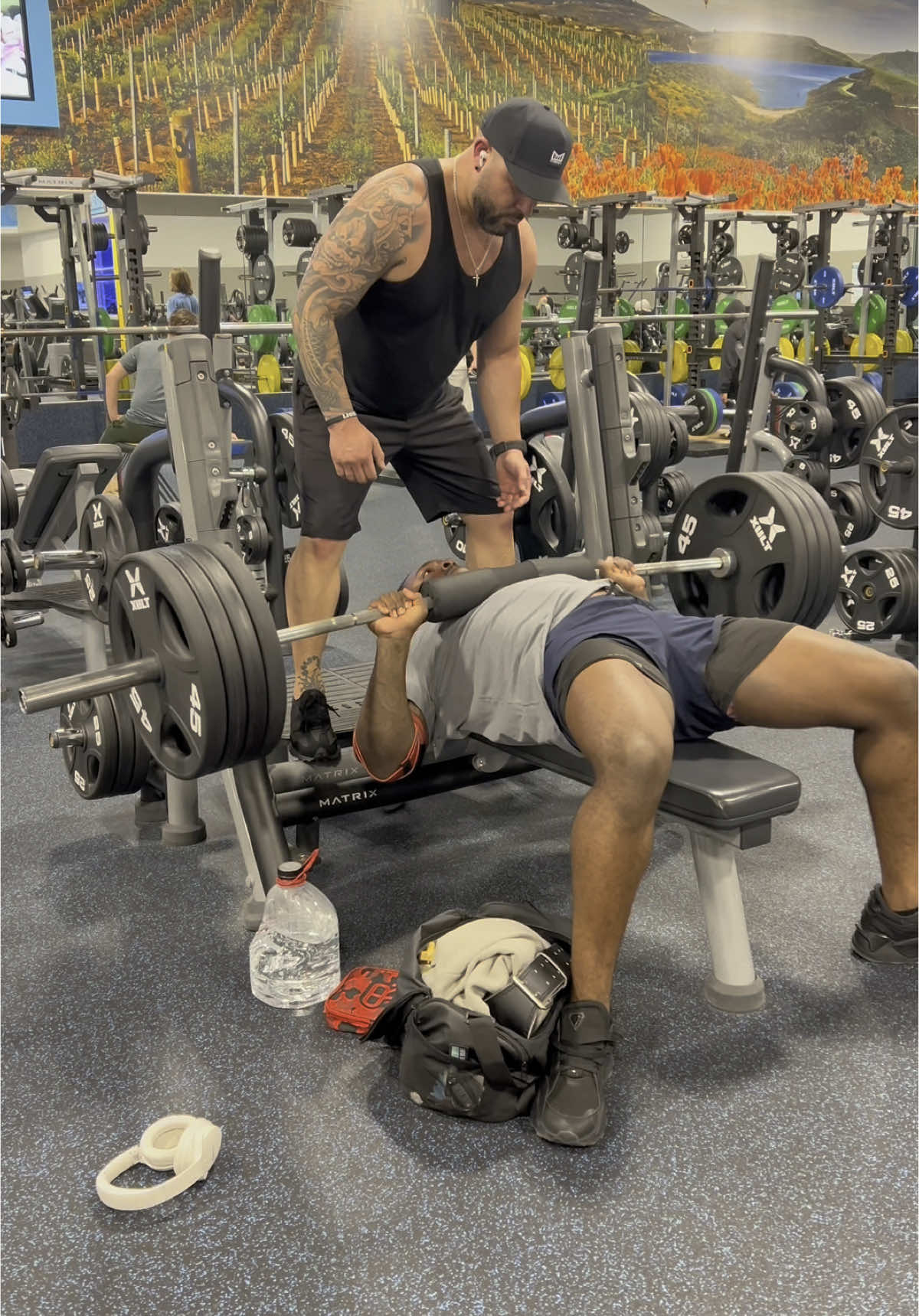 @siah