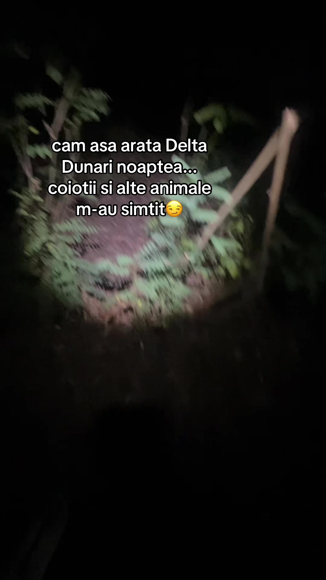 @RobertPredoiu