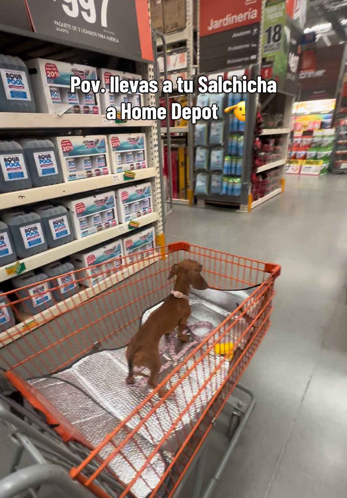 @lachicadelcentro