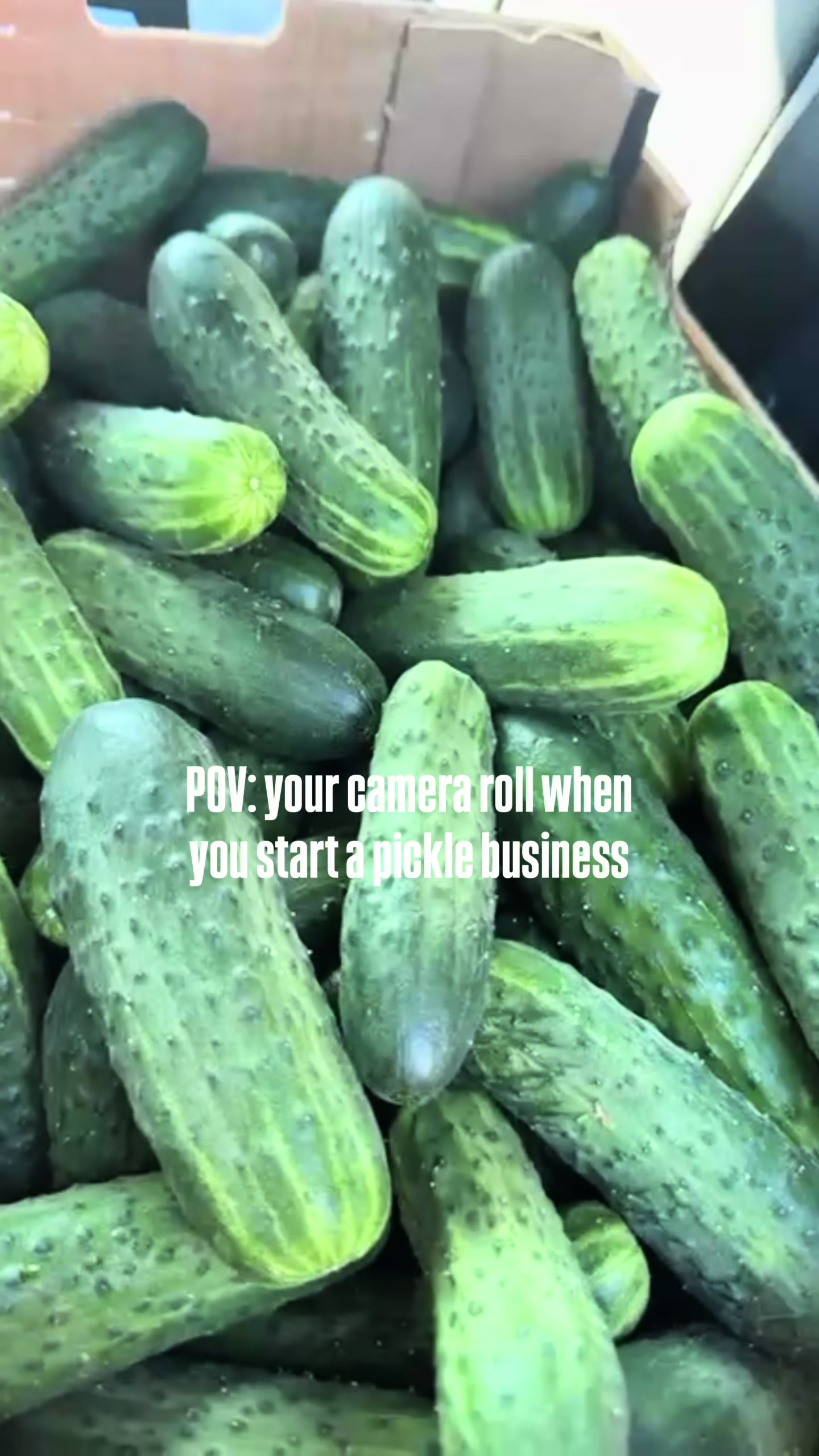 @sexypicklesuk