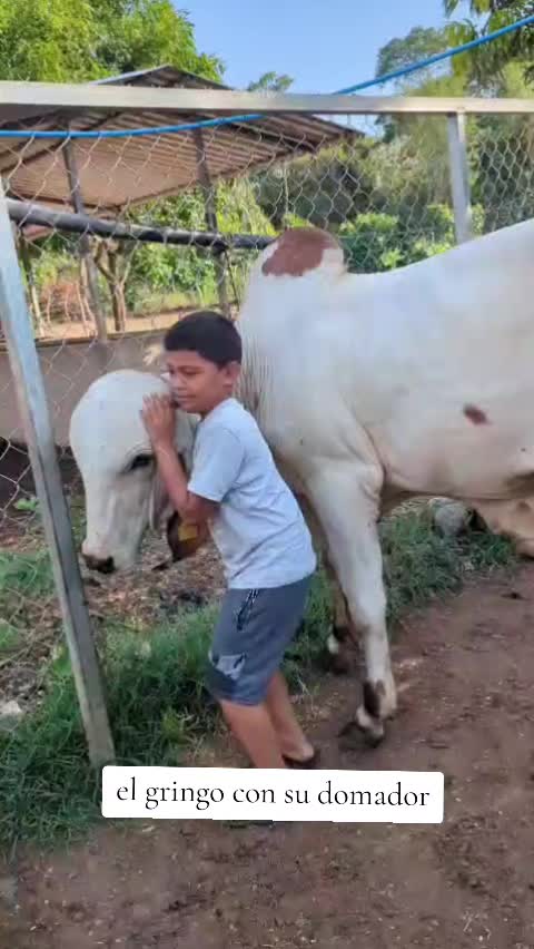 @Rancho El guanaco