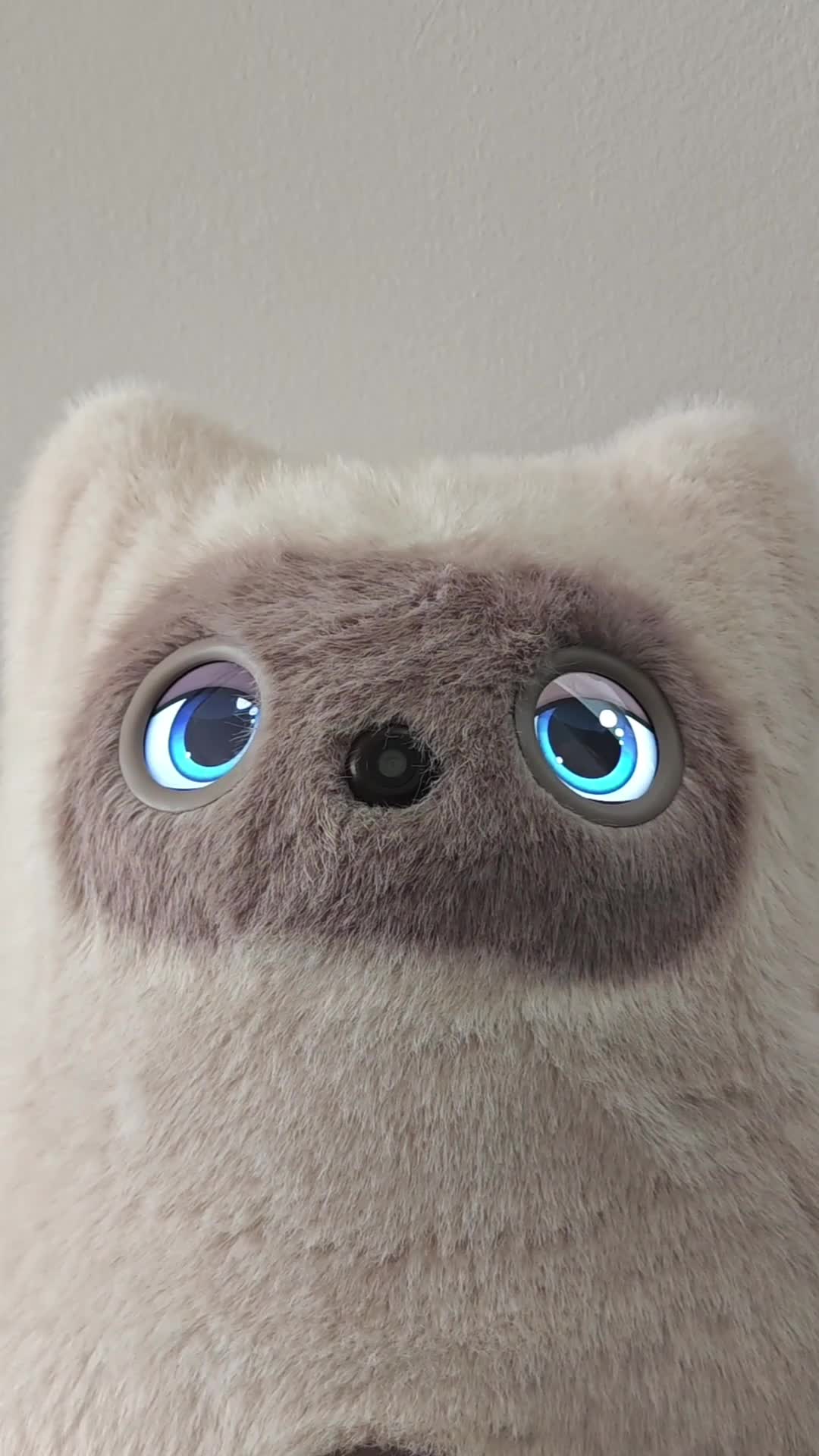 @Living with Robots