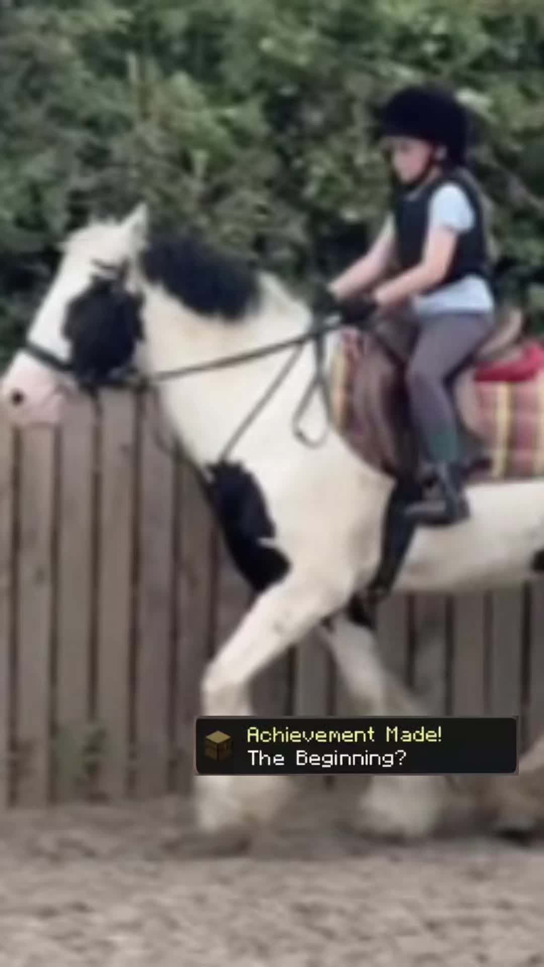 @LottiesHorseAdventures🦄🐴