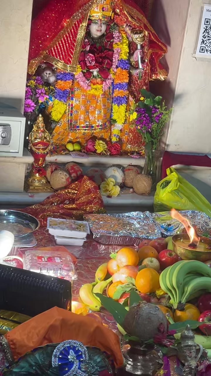 @Bhavika Gor