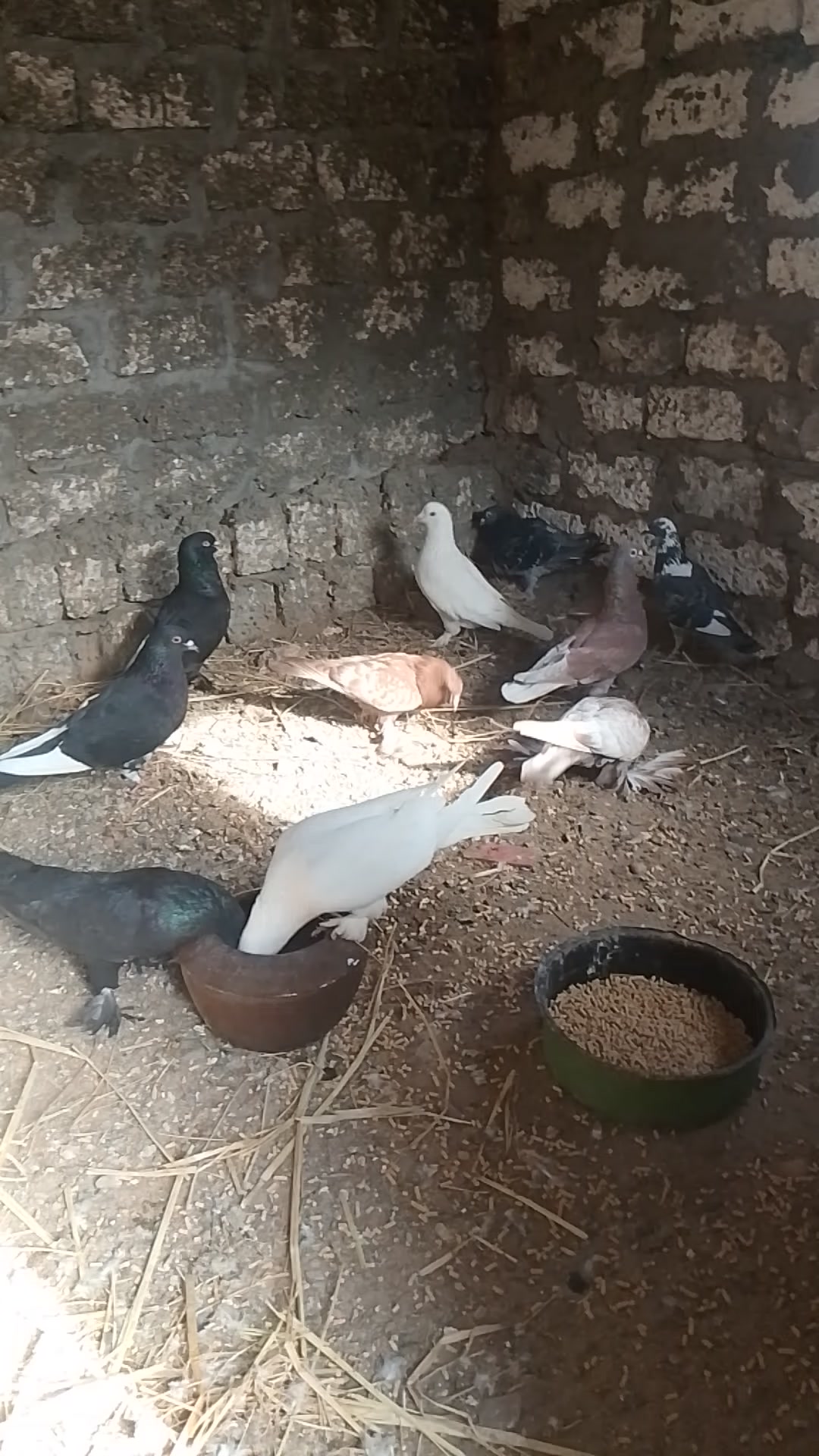 @بعره1بس