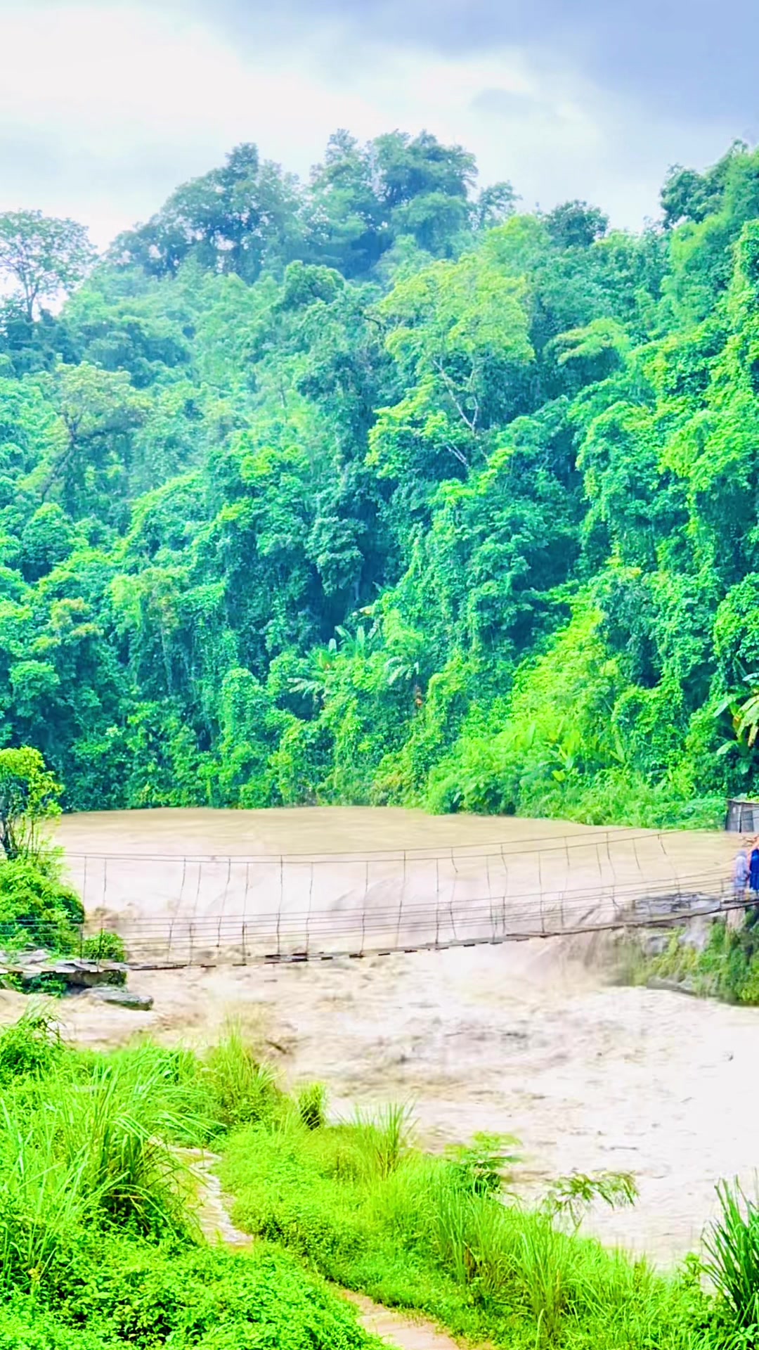 @Gulivai1000