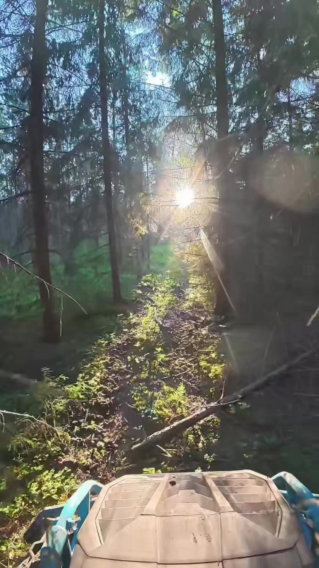 @nariman_sadikov