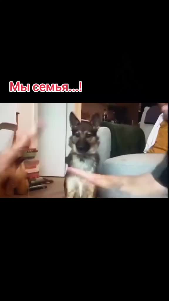 @S.М.