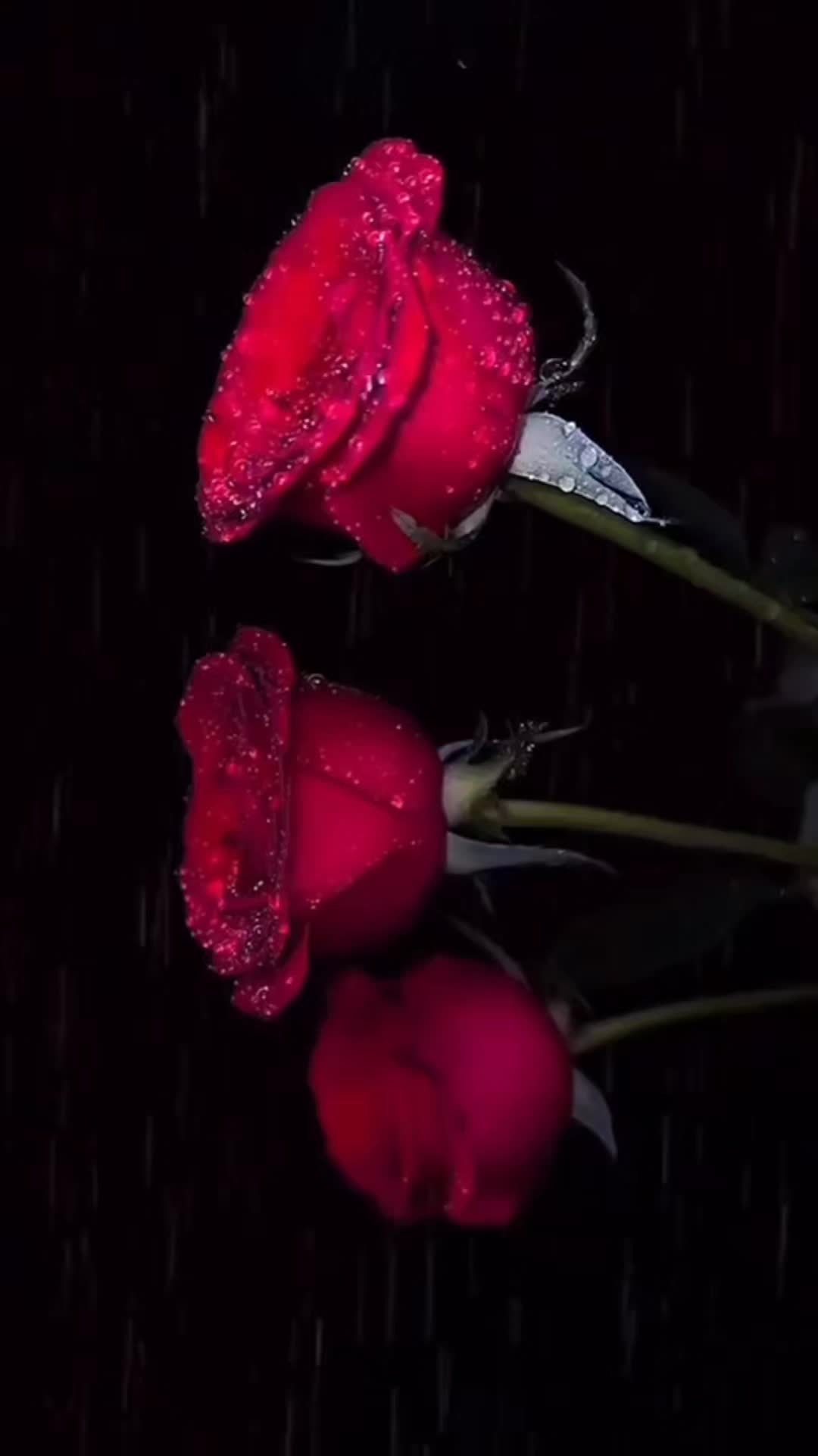 @nazia