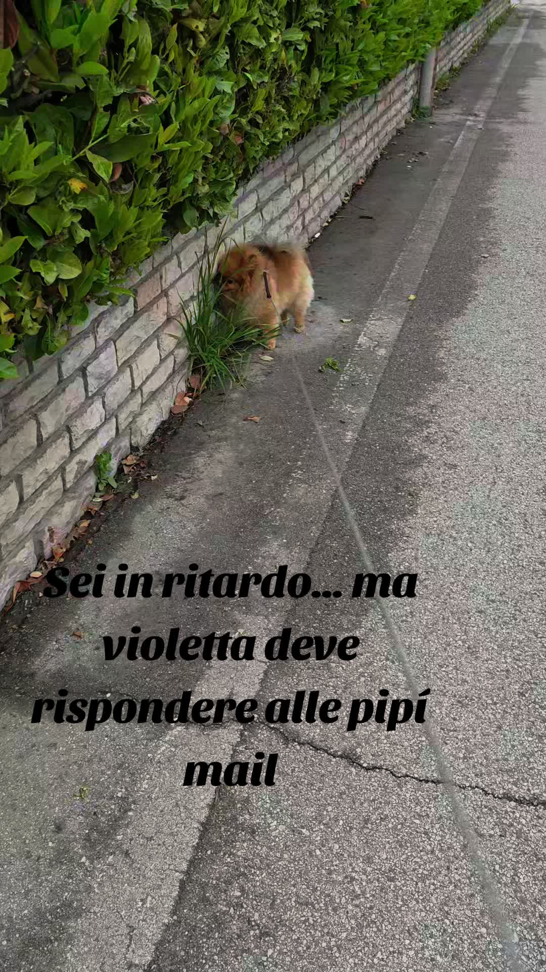 @Nicoletta 🥰