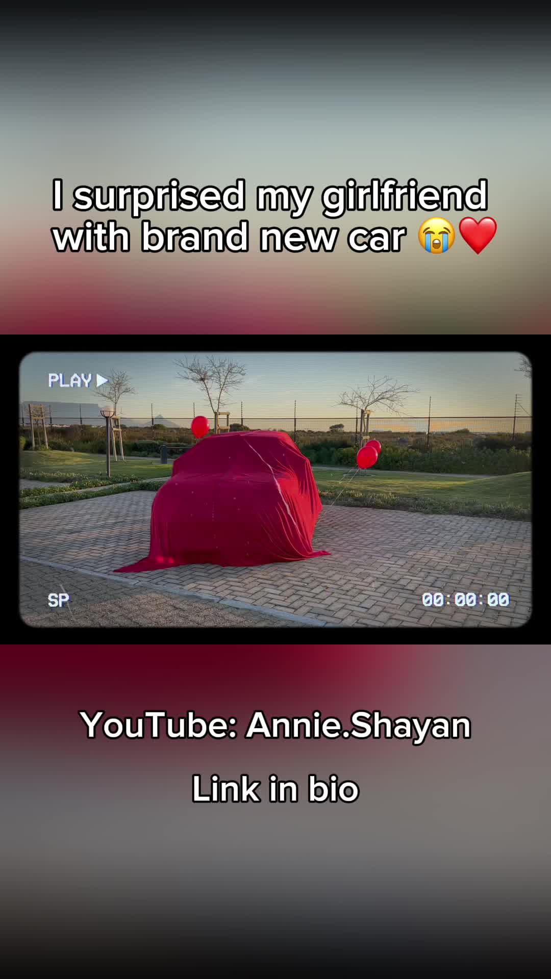 @Shayan.Annie
