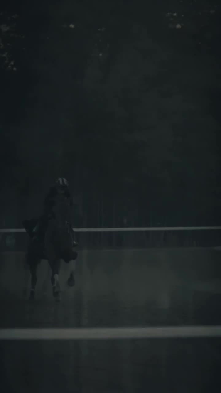 @danihorses2
