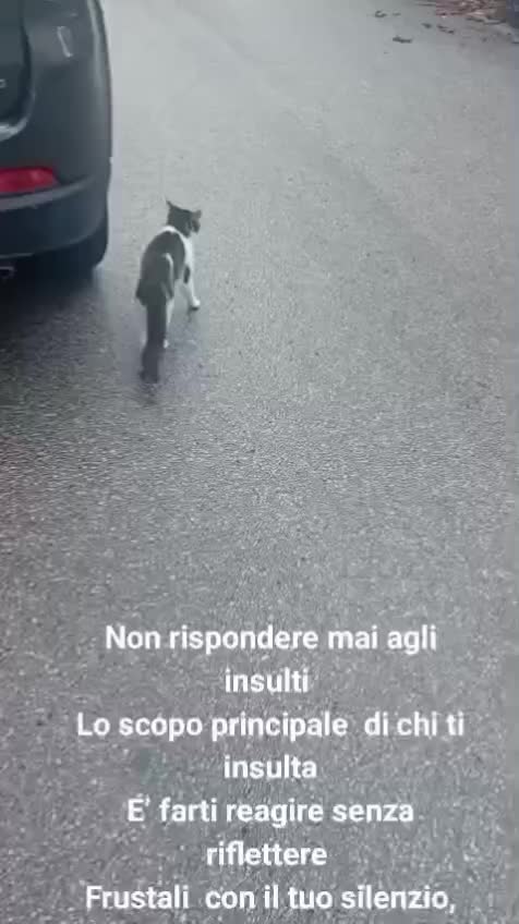 @ELETTRA L'ANIMALISTA