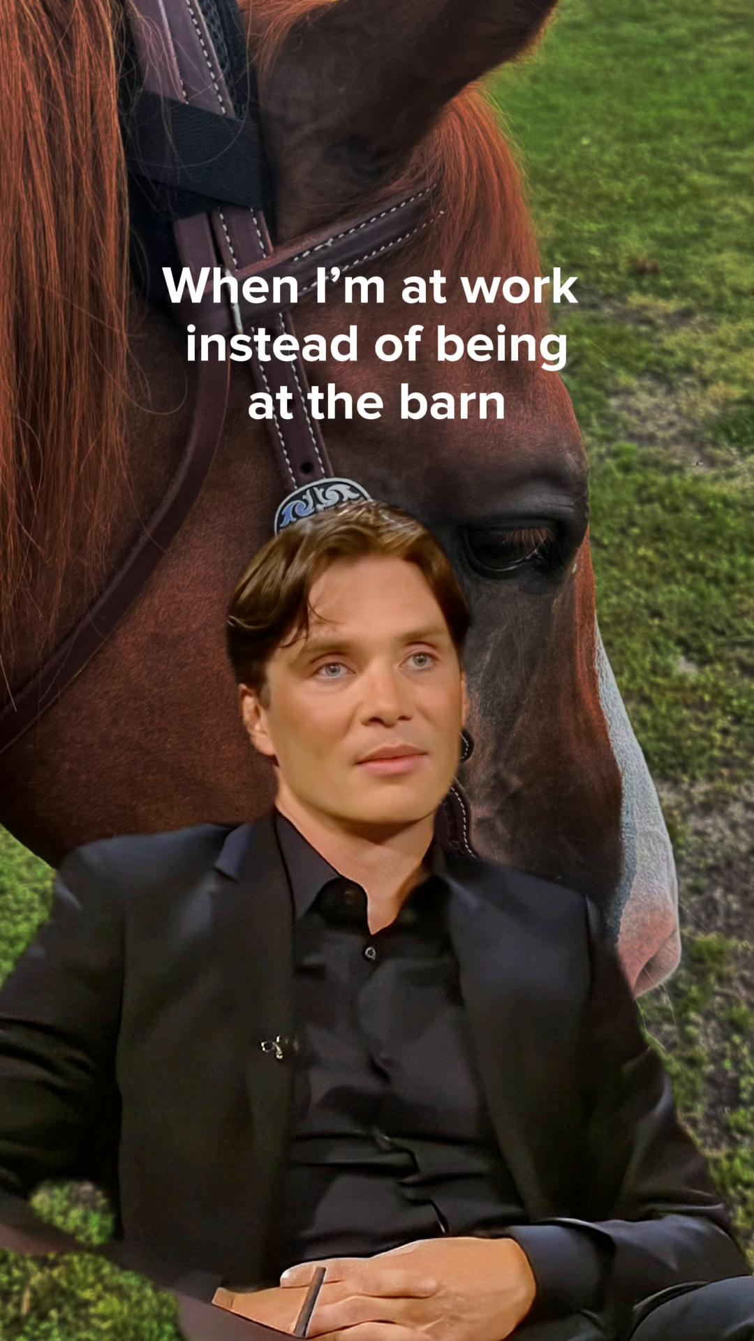 @Horselife
