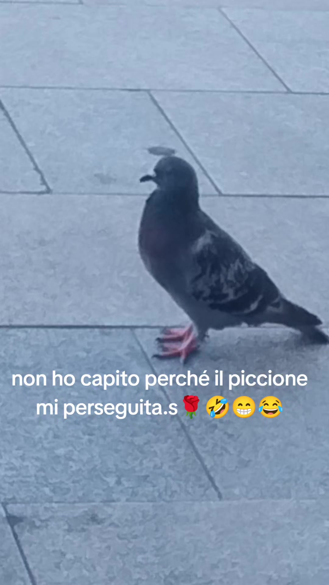 @sensazione 🌹