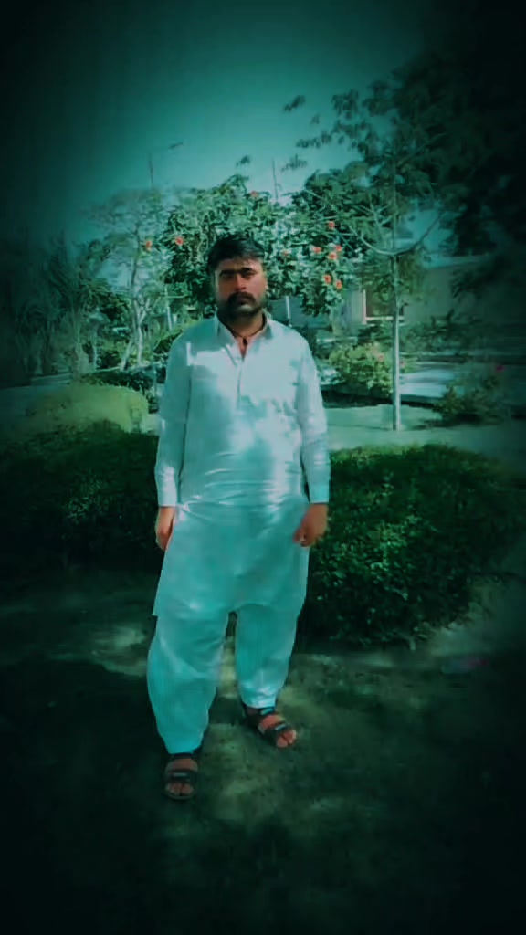 @ameerali50