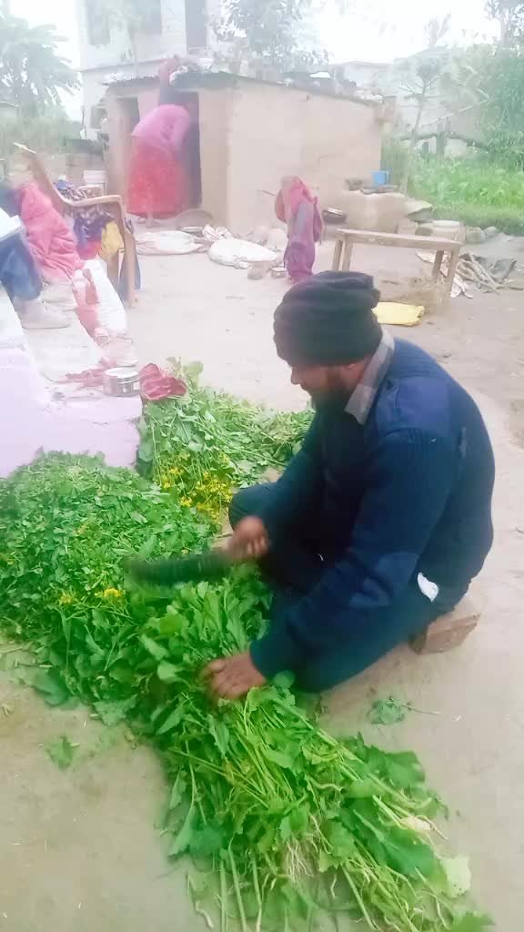 @Luhardil