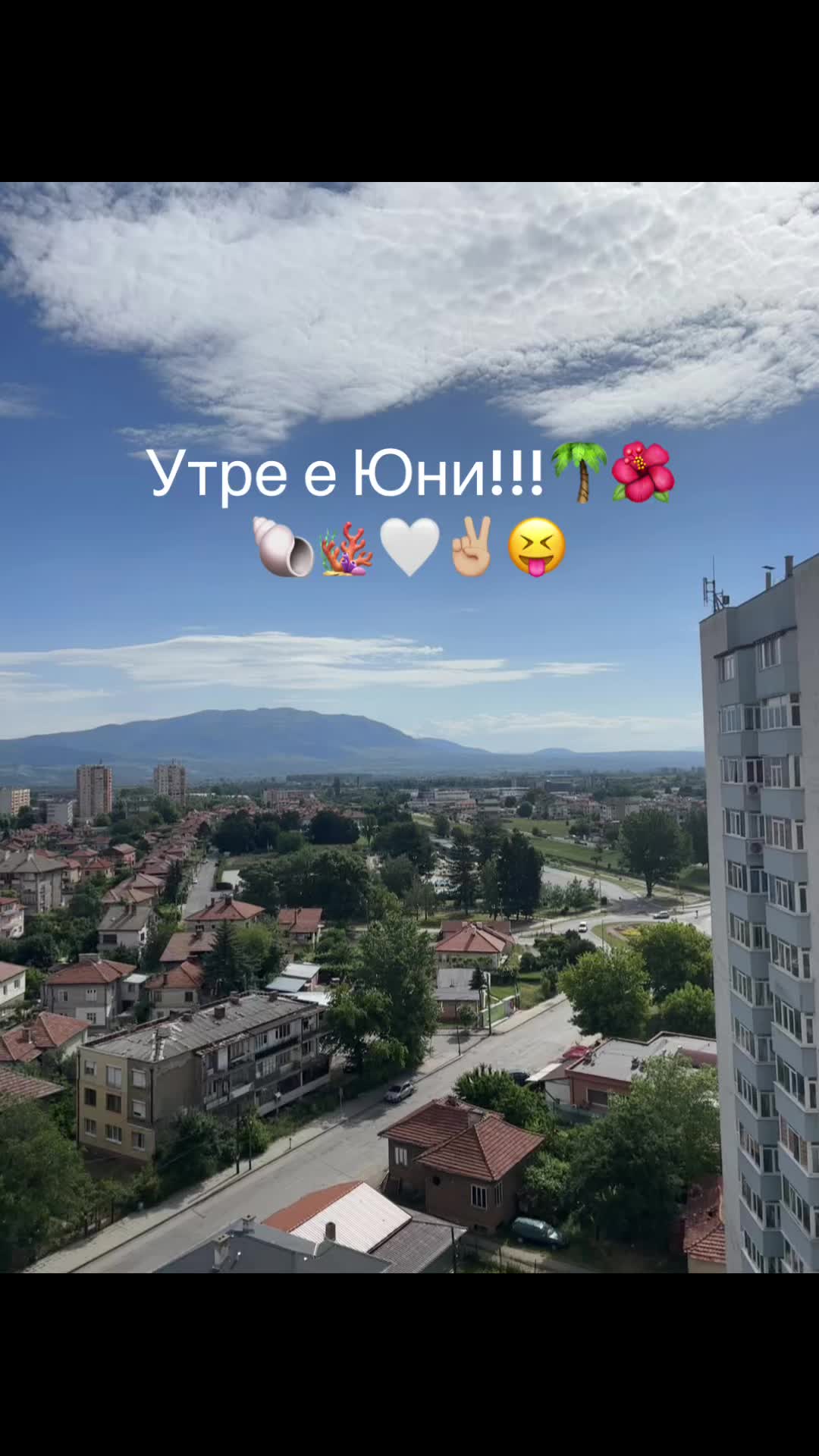 @🌴🌺V.N🌊🎧