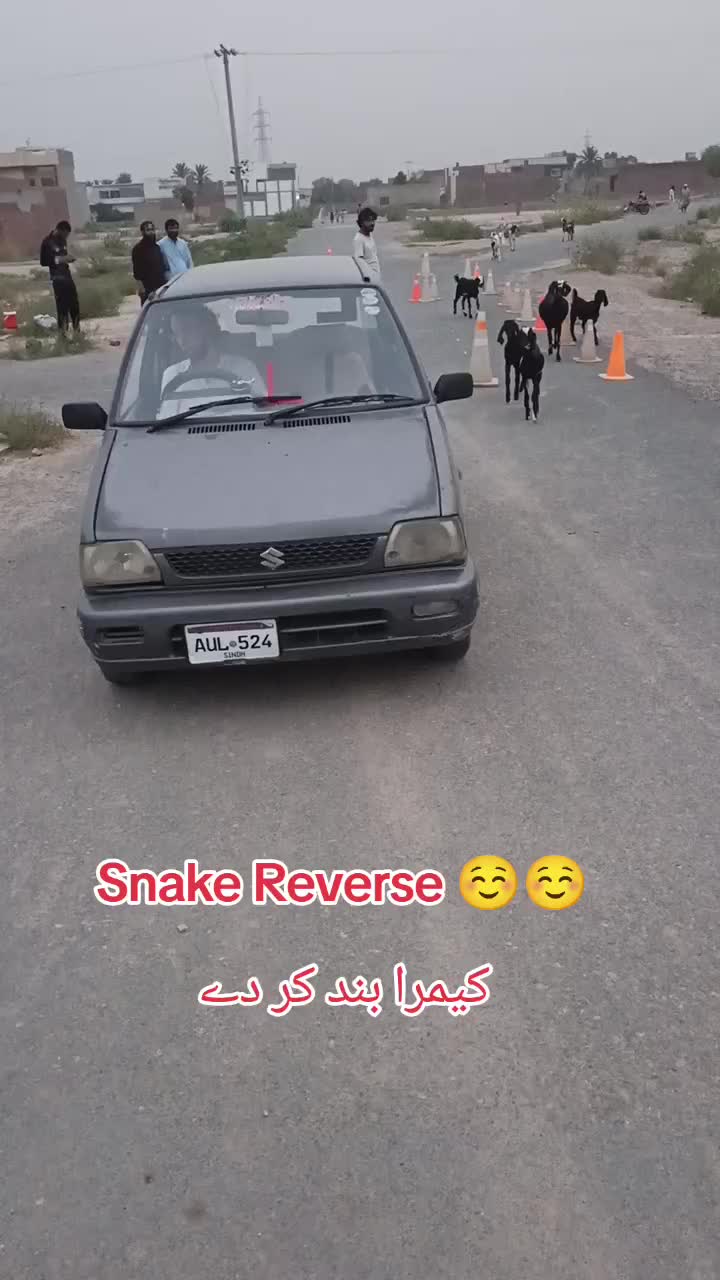 @RoadWisdom Guru Multan
