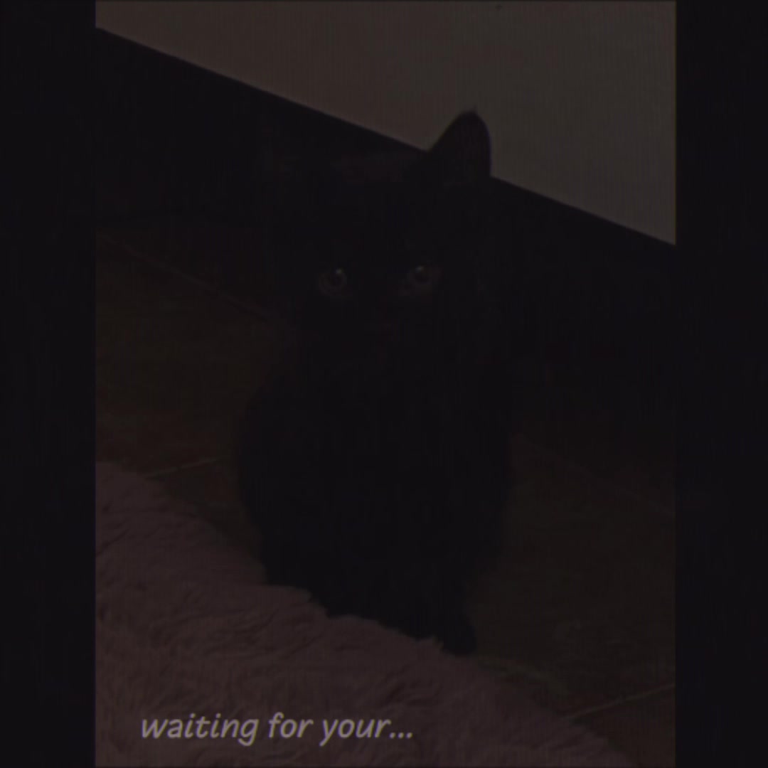 @𝑘𝑒𝑙𝑙𝑦&sup1;⁰⁰⁹