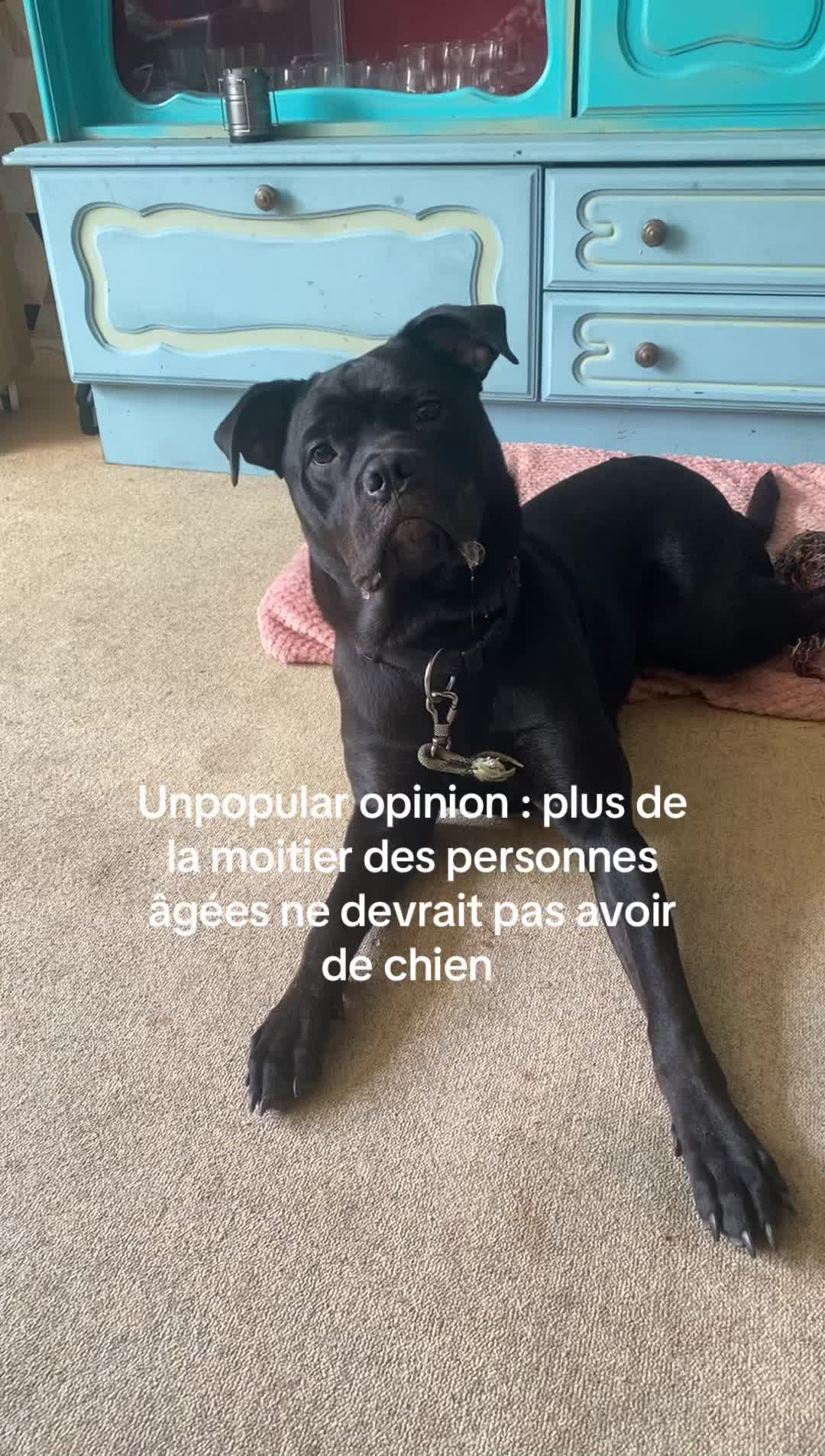 @les.aventures.de.naya