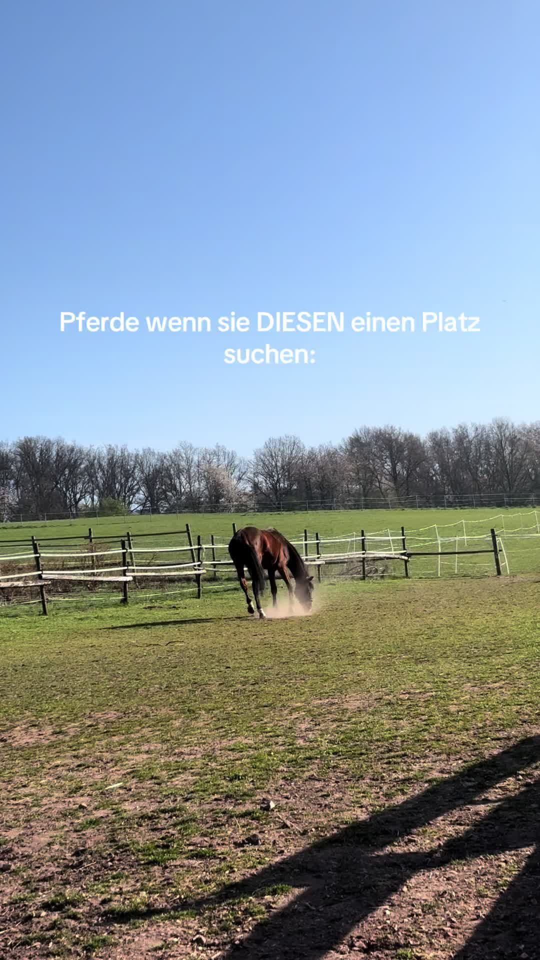 @Kinderreitenfulda