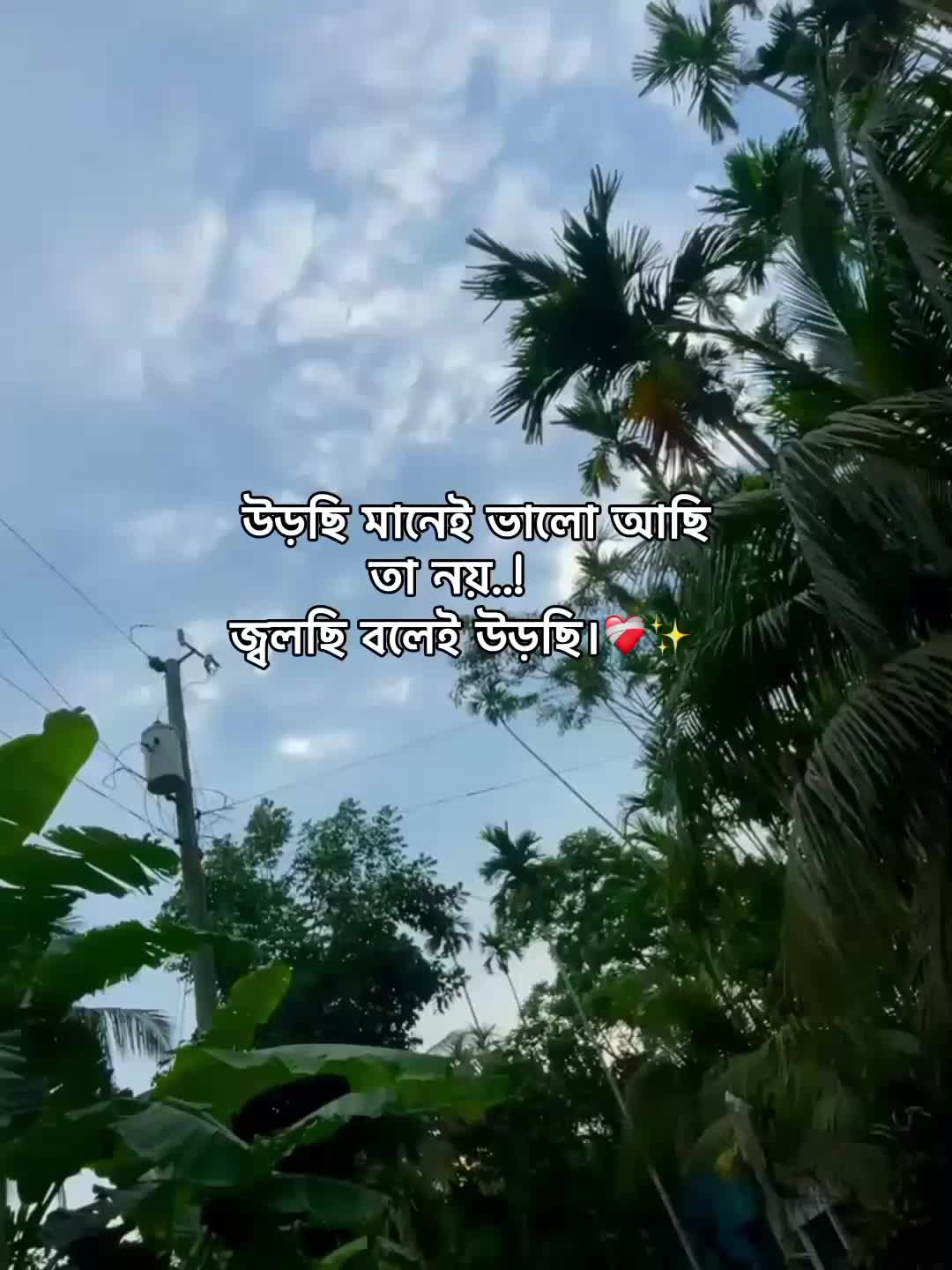 @⁷𝐇𝐚𝐦𝐢𝐝𝐚◡🧃